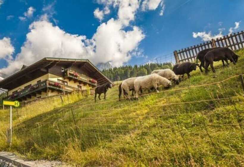 Ferienbauernhof Elmaugut