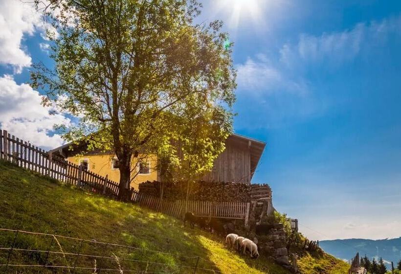 Ferienbauernhof Elmaugut