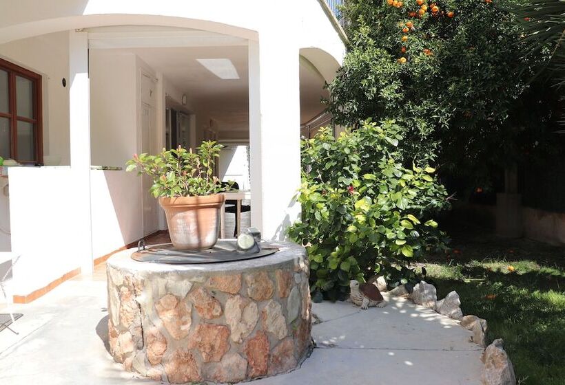 فندق Hostal Amistad