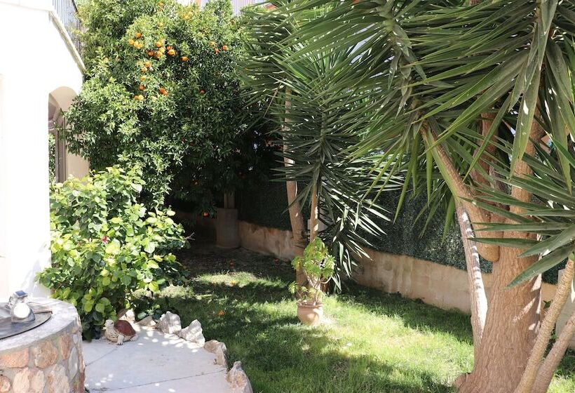 فندق Hostal Amistad