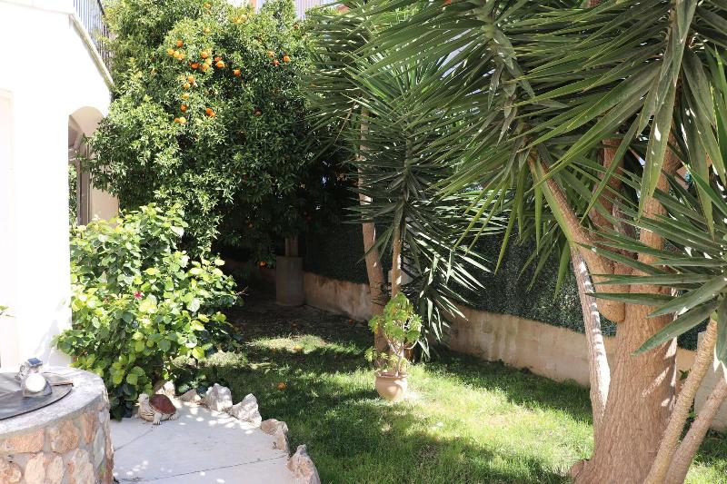 Отель Hostal Amistad