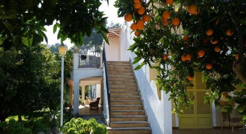 Отель Hostal Amistad