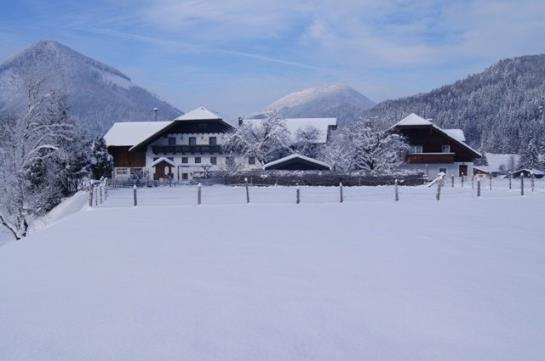 Bauernhof Muehlbauernhof