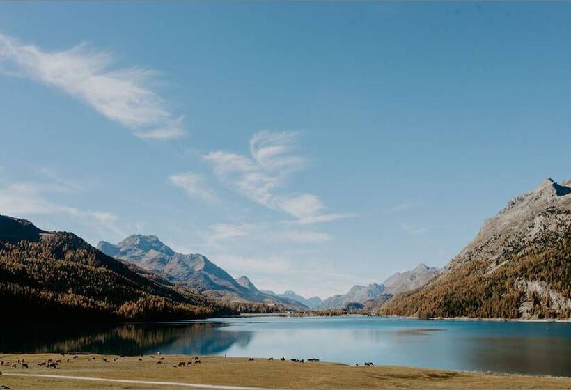 Отель Bellavista