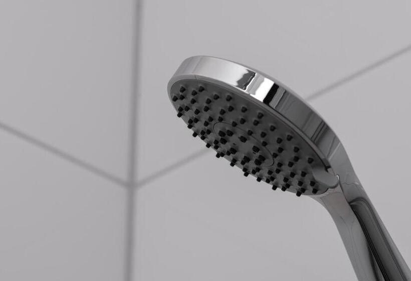 ホテル Birsighof Basel City Center