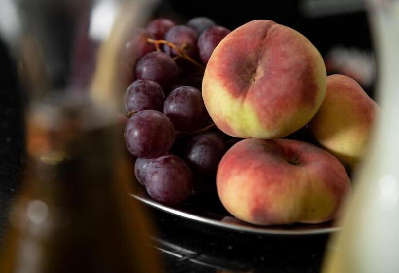 ホテル Birsighof Basel City Center