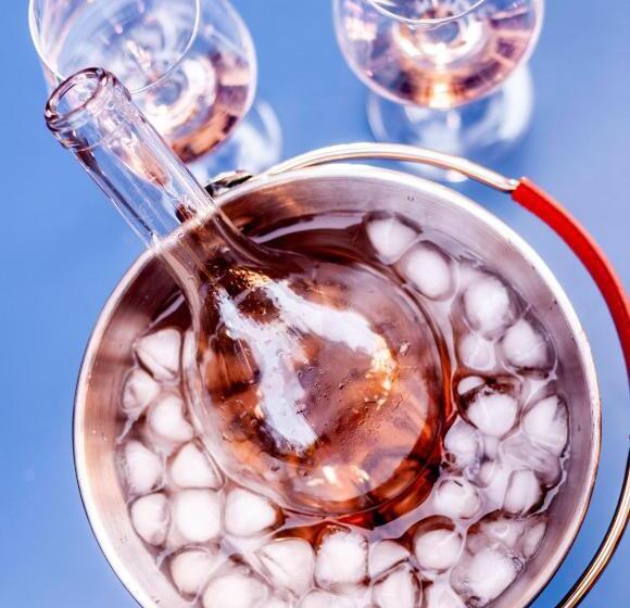 ホテル Birsighof Basel City Center