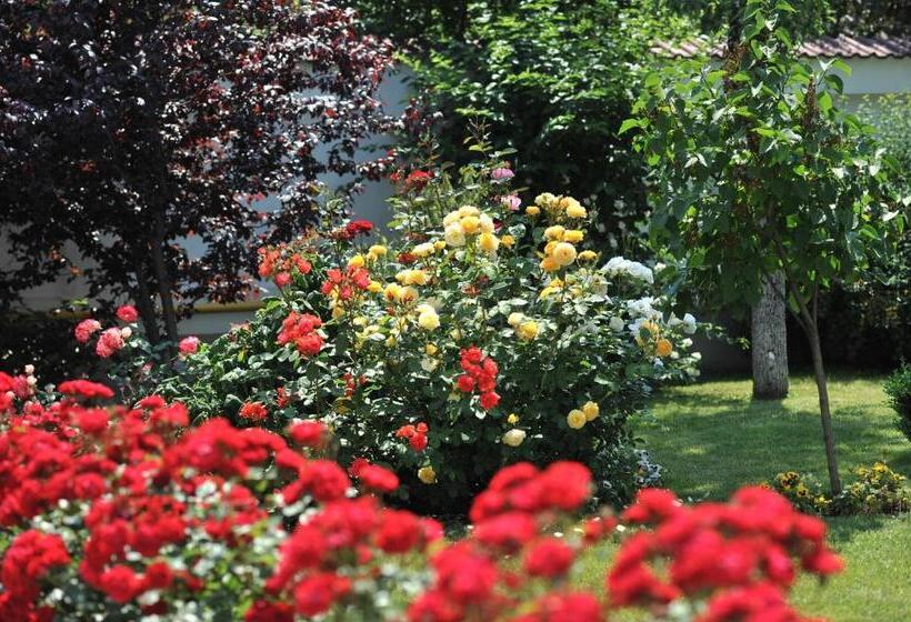 ホテル Complex Jasmine