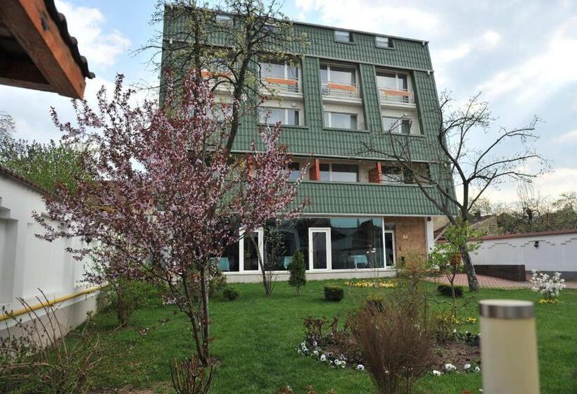 ホテル Complex Jasmine