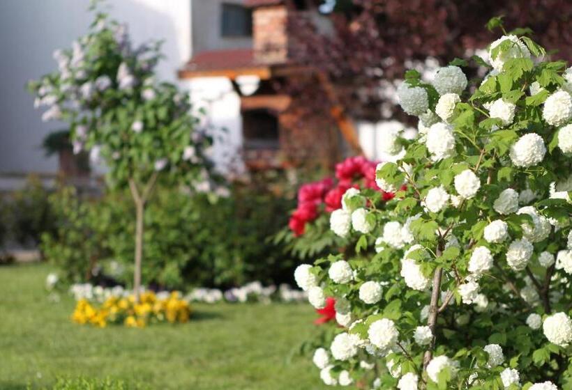 ホテル Complex Jasmine