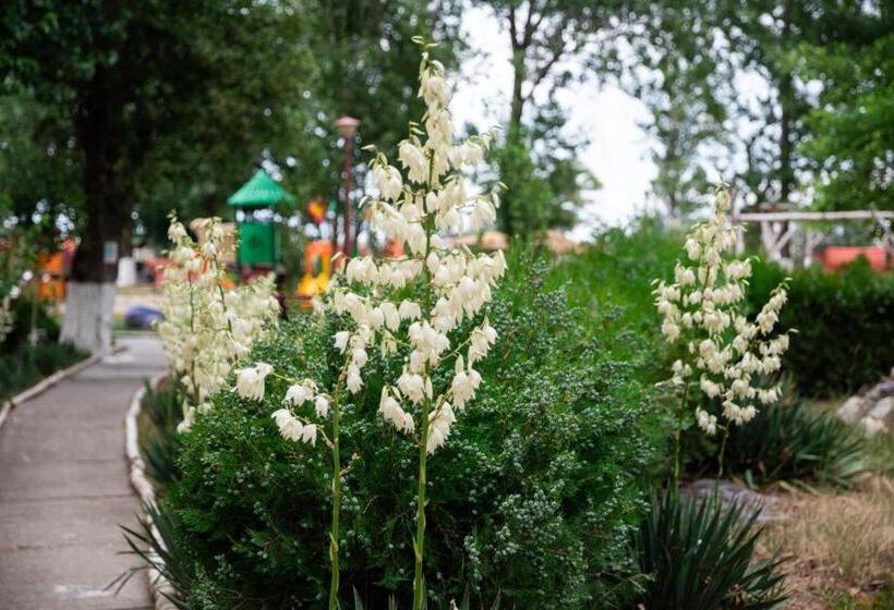 ホテル Complex Mediteranean Mamaia