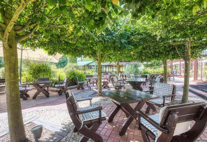 בית מלון כפרי Dom Oliwski