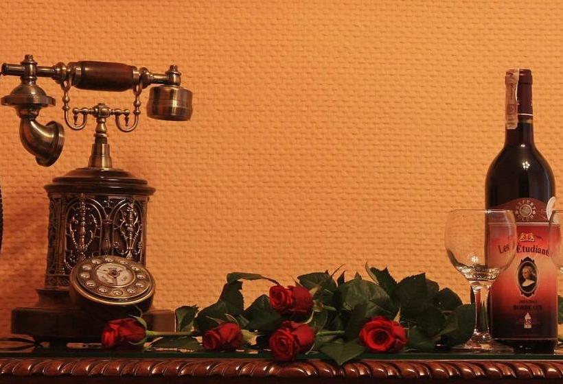 Отель Dom Schumannów