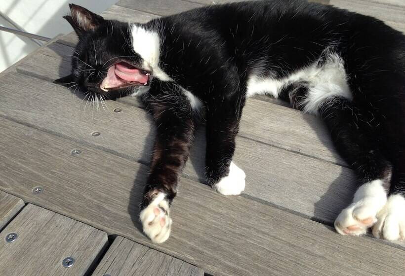 Dysart Boutique Hotel Solar Power