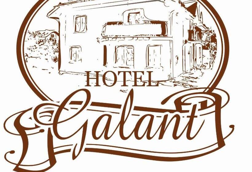 בית מלון כפרי Galant