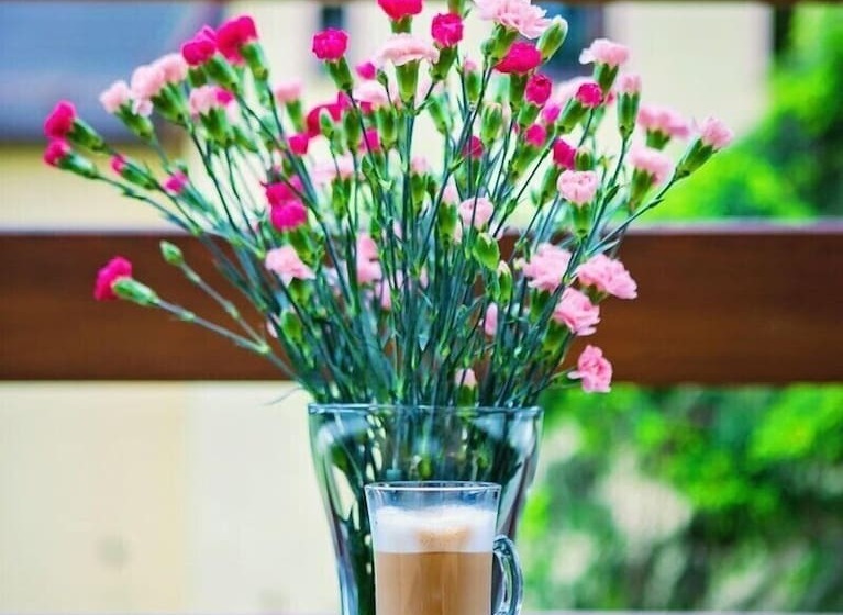 فندق Karkonoski Spa   Bufet Mini All Inclusive Gratis!