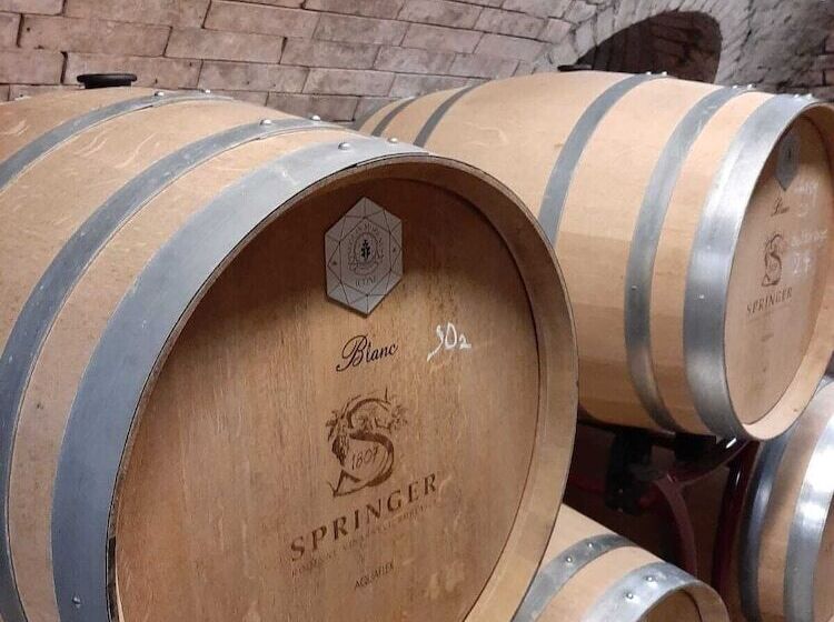 هتل Garni Konvice