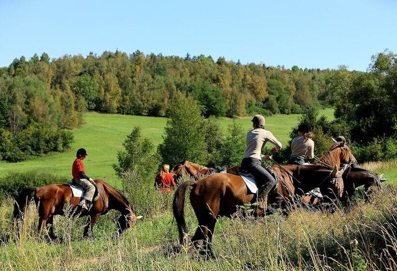 هتل Garni Konvice