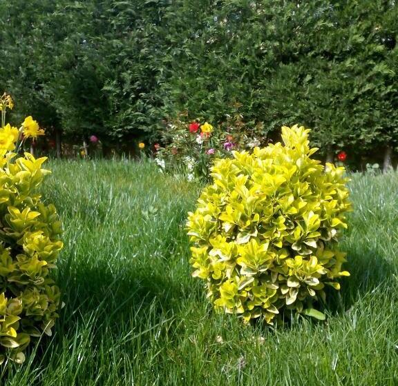 ホテル Pendik Marine