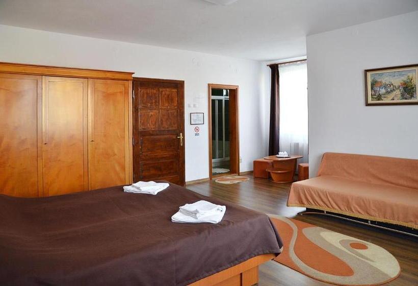 Отель Pension Artemis