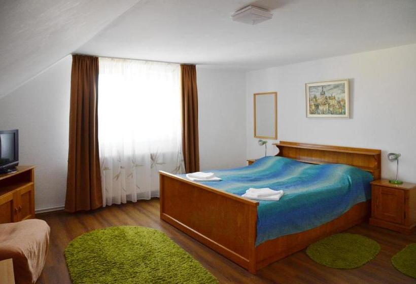 Отель Pension Artemis