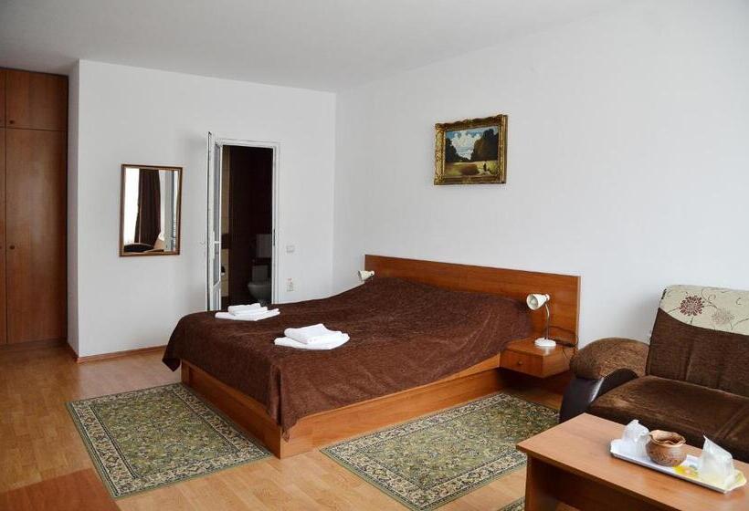 Отель Pension Artemis