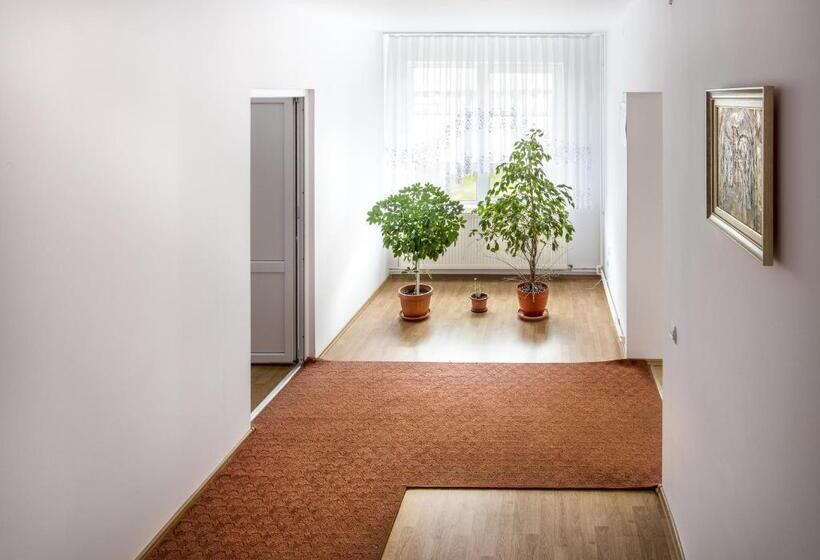 Отель Pension Artemis