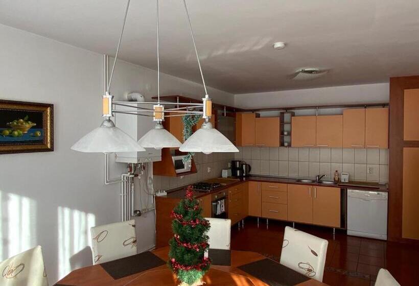 Отель Pension Artemis