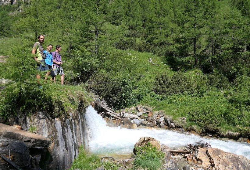 فندق Rauriserhof