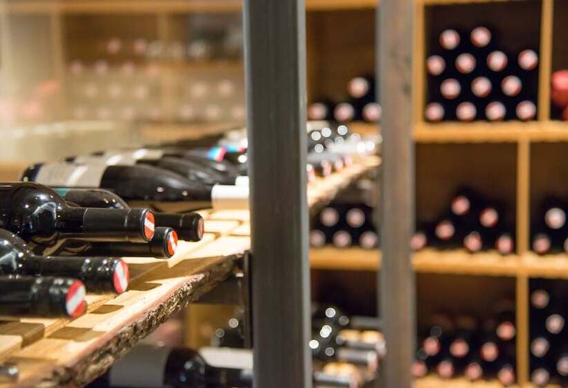 فندق Rauriserhof