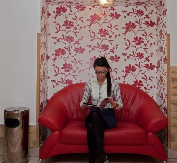 酒店 Richmond Teplice