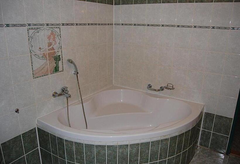 酒店 Richmond Teplice