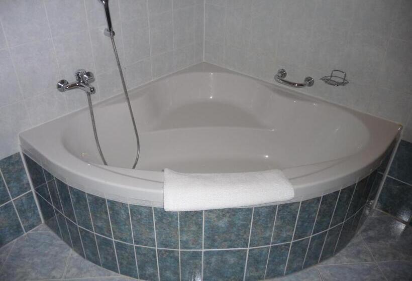 酒店 Richmond Teplice