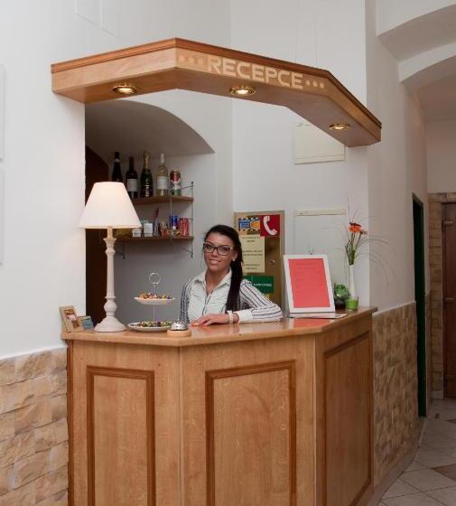 酒店 Richmond Teplice