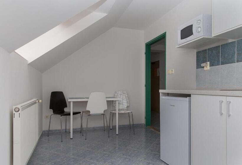 هتل Richmond Teplice