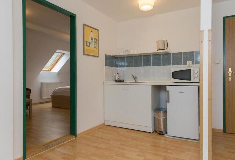 هتل Richmond Teplice