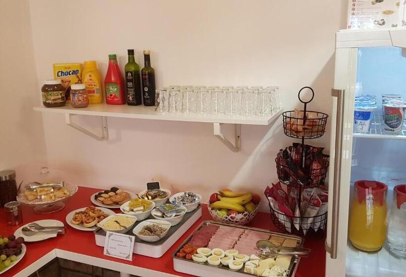 酒店 Richmond Teplice