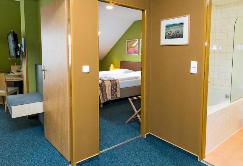 בית מלון כפרי Rieger Garni