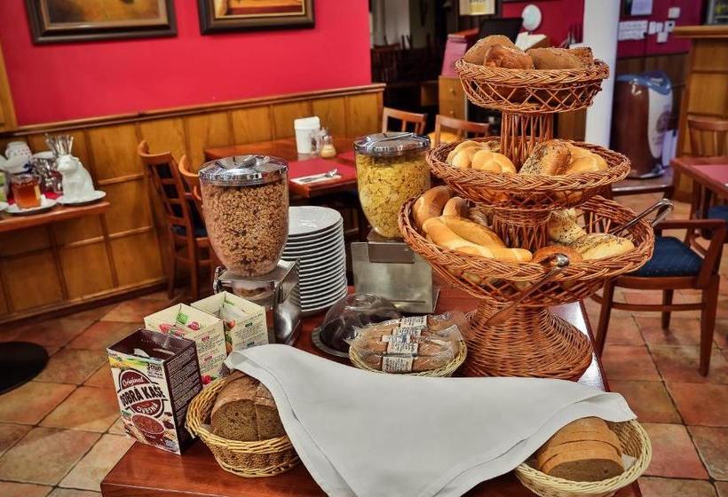 בית מלון כפרי Rieger Garni