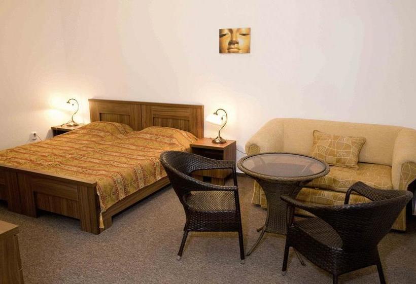 هتل Satyam Pension