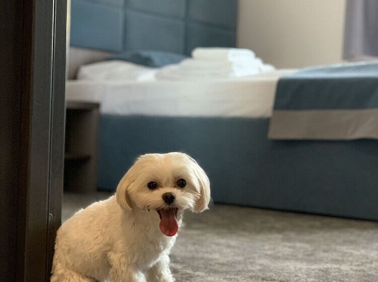 호텔 Sleep Wrocław