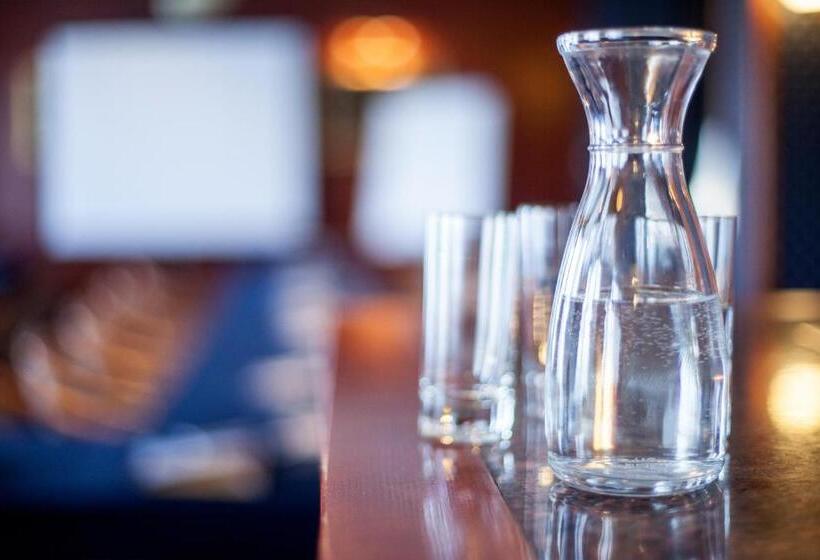 فندق Szydłowski