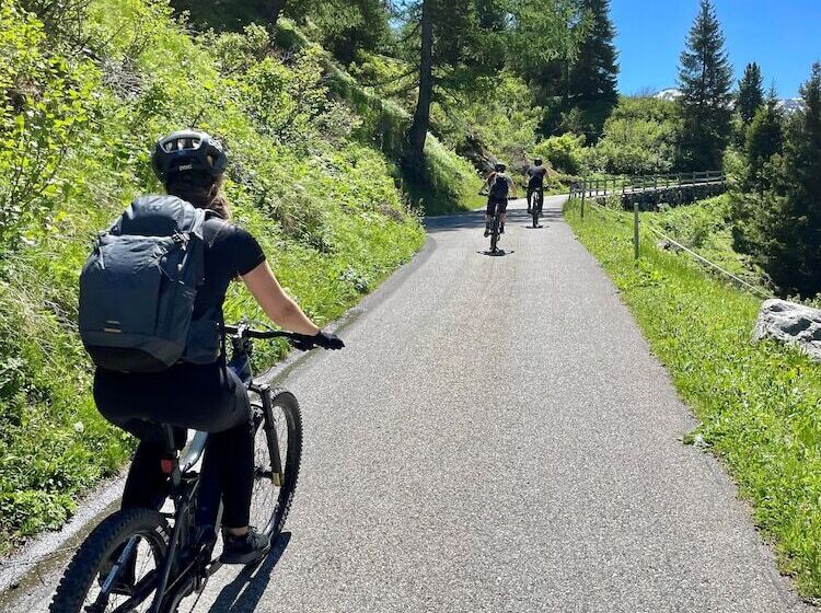 בית מלון כפרי Vereina