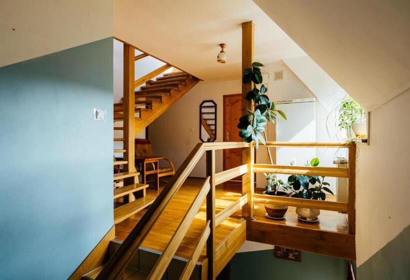 酒店 Willa Marta M Sauna Jacuzzi