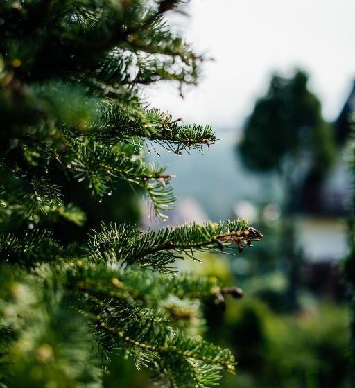 酒店 Willa Marta M Sauna Jacuzzi