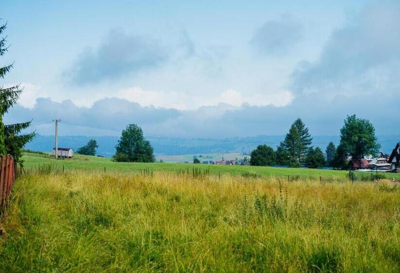 酒店 Willa Marta M Sauna Jacuzzi