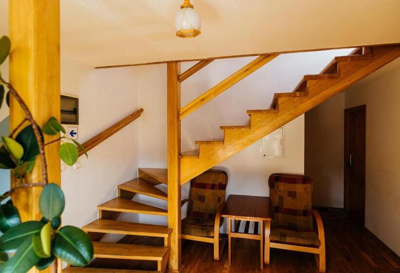 酒店 Willa Marta M Sauna Jacuzzi