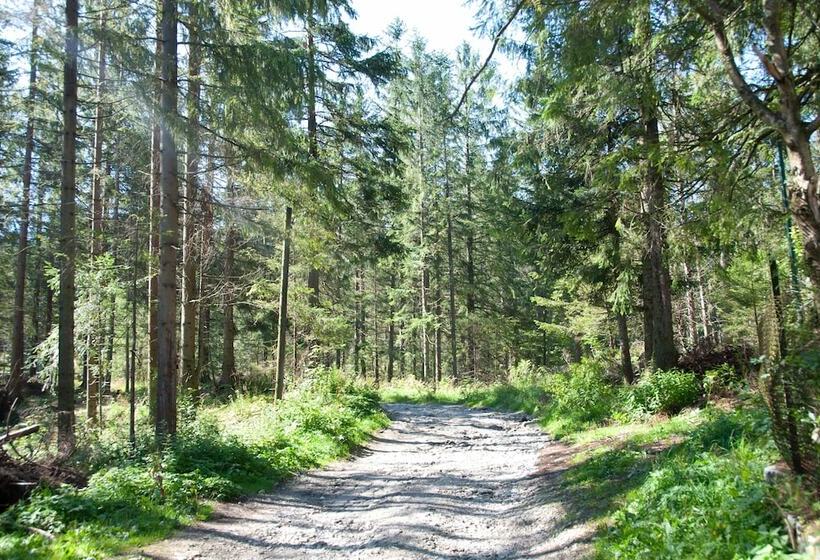 هتل Zespół Dolina Białego   Pensjonat Biały Potok