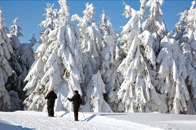פנסיון Gasthaus & Hotel Berninahaus