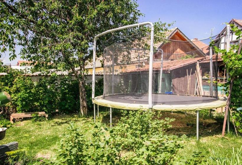 Pensiunea La Despani